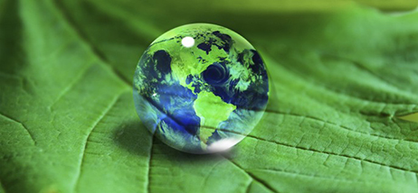 Applied Packaging Engineering to Define Sustainability